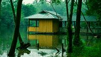 elephant-rehabilitation-centre-thiruvananthapuram-kerala-1-attr-hero