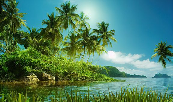 emerald-isles-kadamakkudy-kerala-rural-wonders