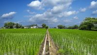 farms-haryana-tri-hero