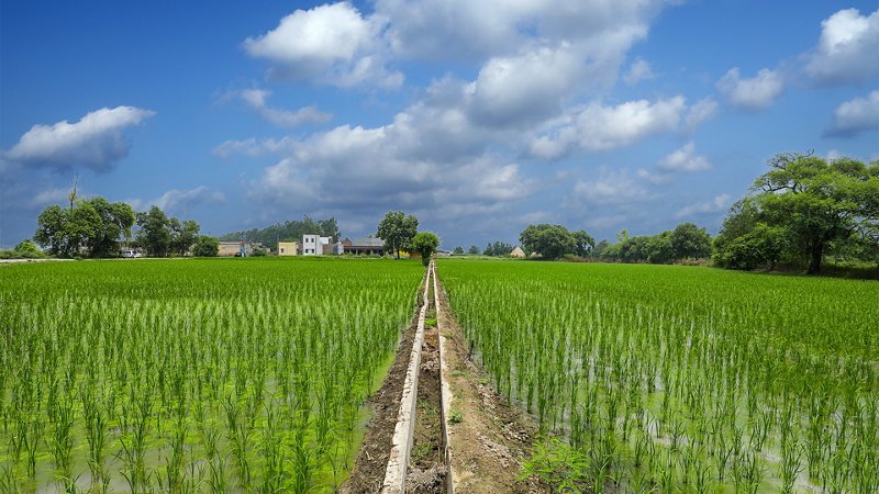 Haryana Heritage Trail Traversing through the citys ancient and historically rich towns