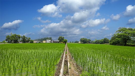 farms-haryana-tri-side