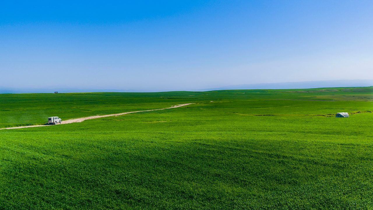 farms-pong-lake-kangra-hp-hero