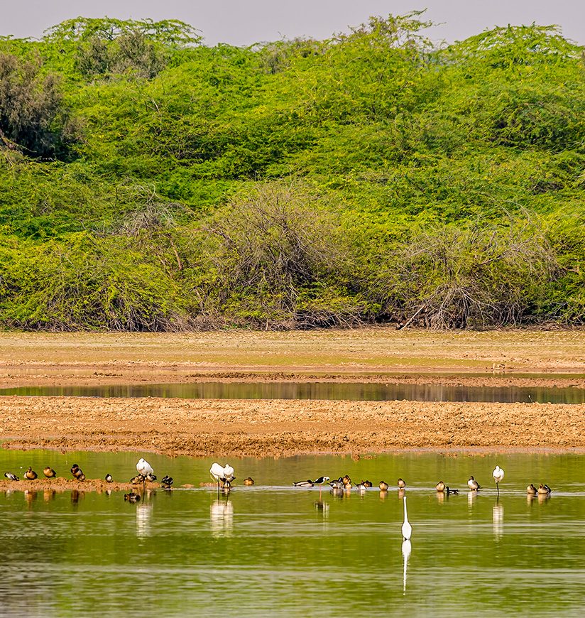 gajner-wildlife-sanctuary