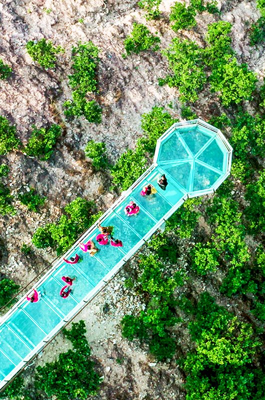 glass-bridge-rajgir-nalanda-bihar-1-attr-nearby
