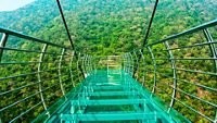 glass-bridge-rajgir-nalanda-bihar-2-attr-hero
