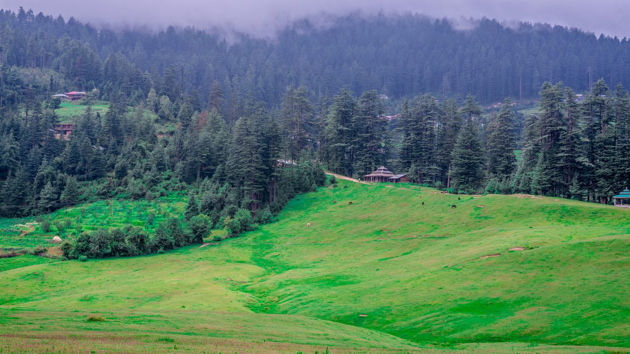 Panoramic view of green meadows in himalayas, Great Himalayan National Park, Sainj Valley, Himachal Pradesh, India