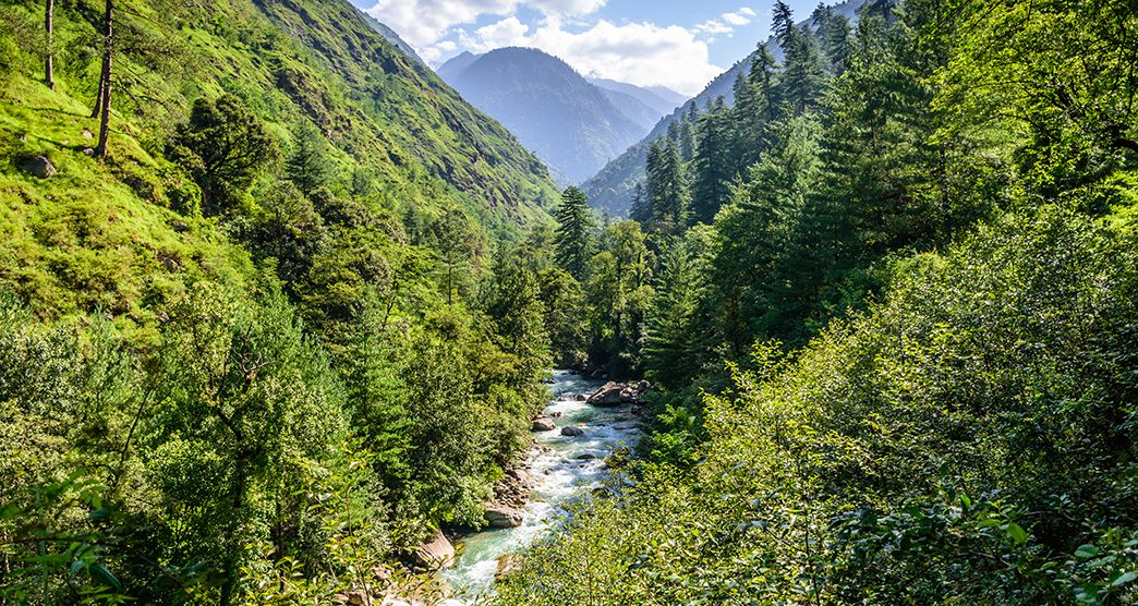 The lush green Great Himalayan national park is the UNESCO world heritage site.