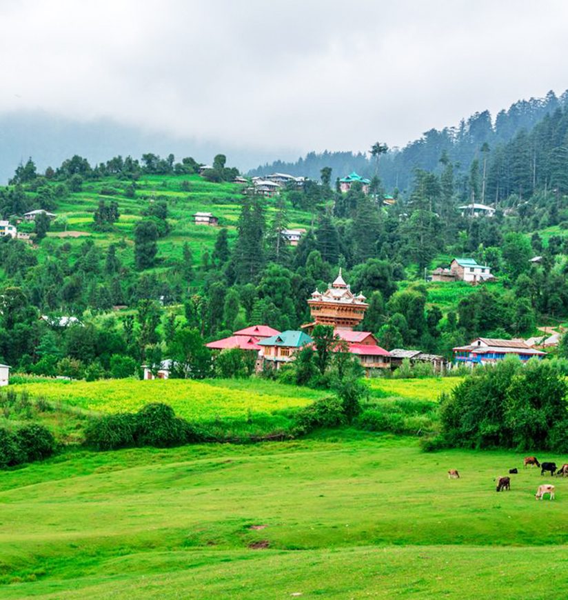 great-himalayan-national-park-dharamshala-himachal-pradesh-body