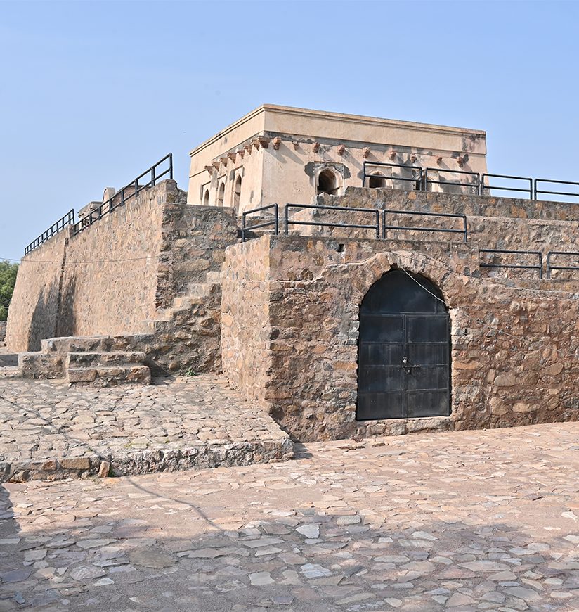 gujri-mahal-hisar-haryana-city-body