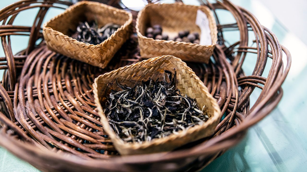 happy-valley-tea-estate-darjeeling-west-bengal-1-musthead-hero