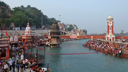 safari-haridwar-blog-ntr-body