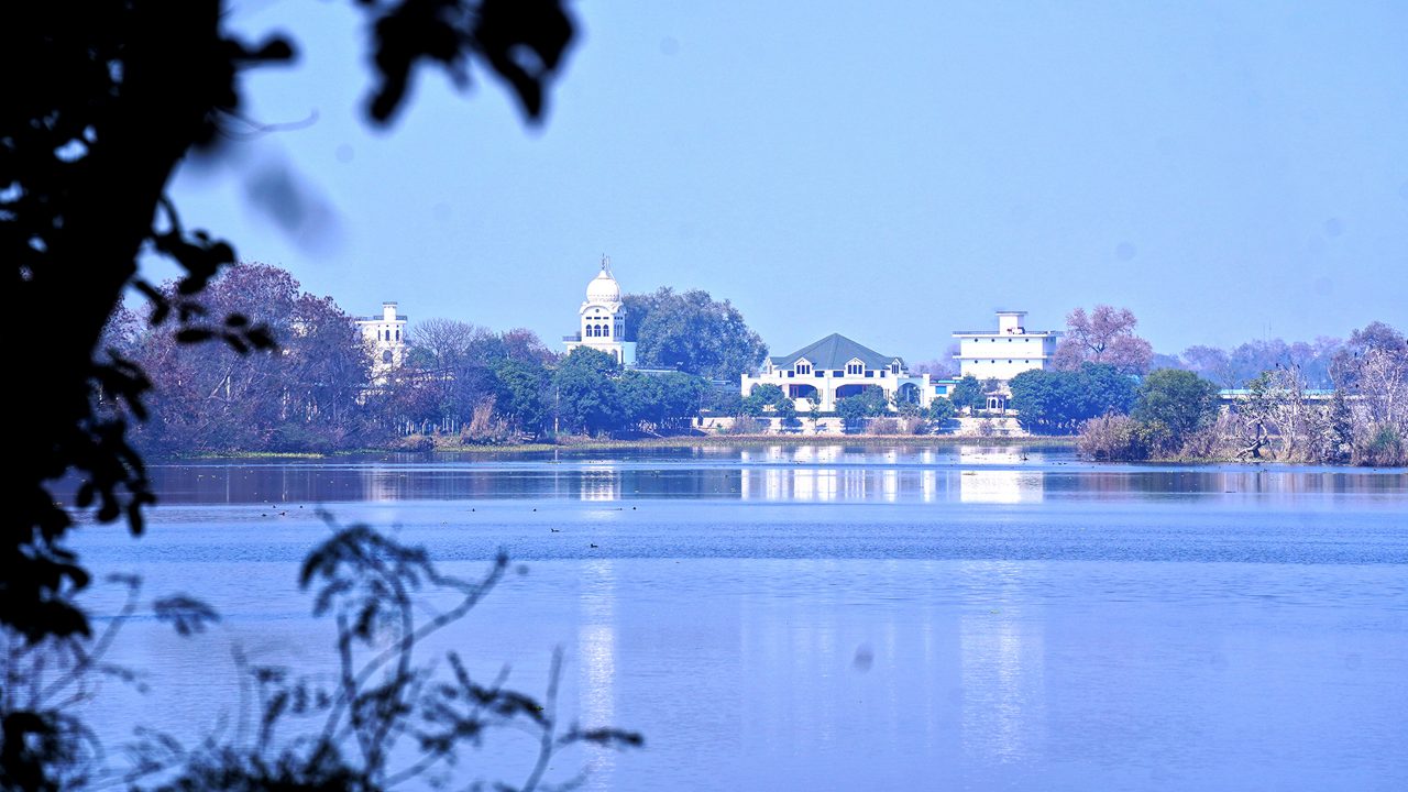 harike-wetland-and-bird-sanctuary