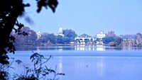 harike-wetland-and-bird-sanctuary