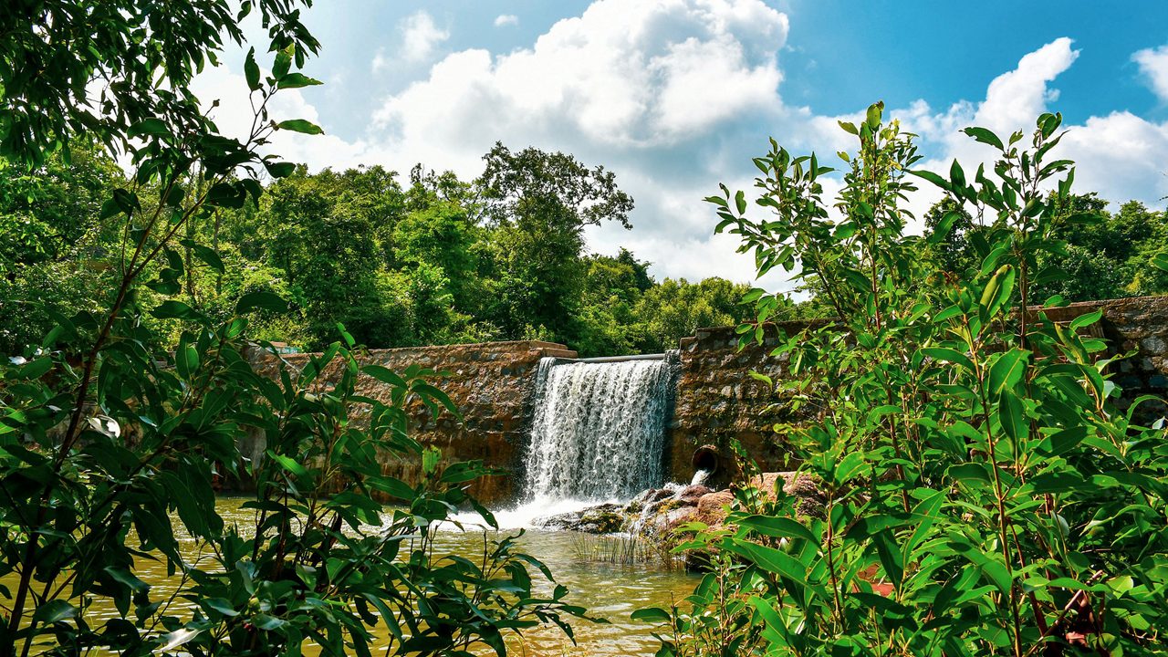 hazaribagh-national-park-ranchi