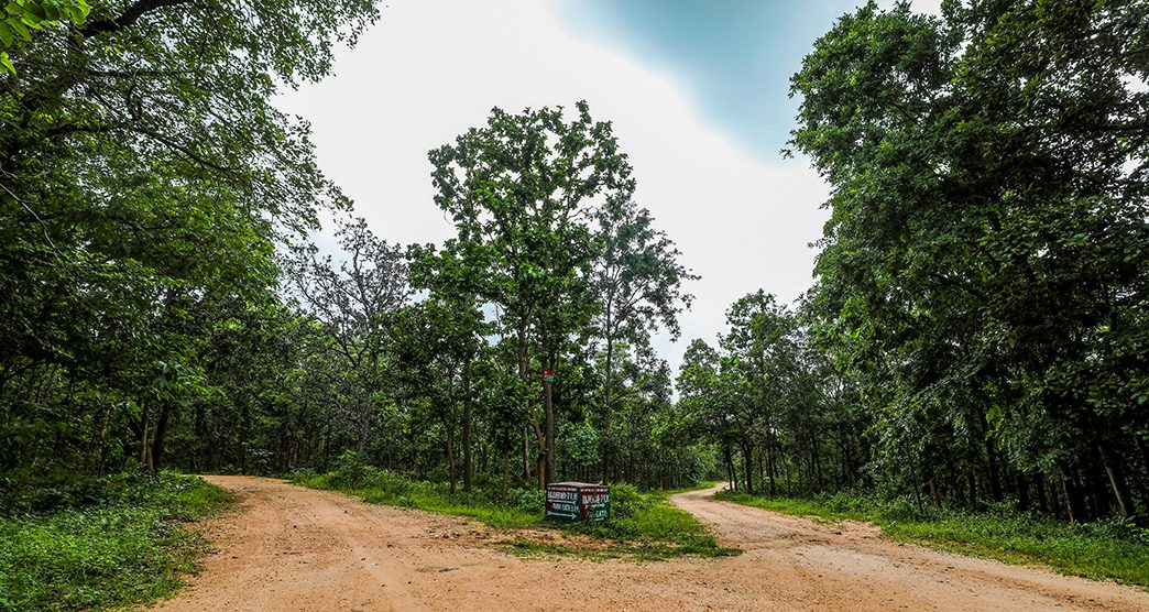 Hazaribagh-National-Park