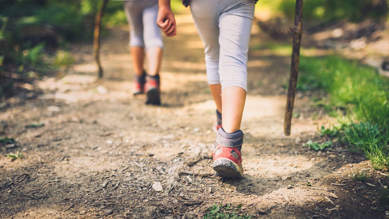 Children hiking in mountains or forest with sport hiking shoes. Girls or boys are walking trough forest path wearing mountain boots and walking sticks. Frog perspective with focus on the shoes.