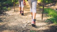 Children hiking in mountains or forest with sport hiking shoes. Girls or boys are walking trough forest path wearing mountain boots and walking sticks. Frog perspective with focus on the shoes.
