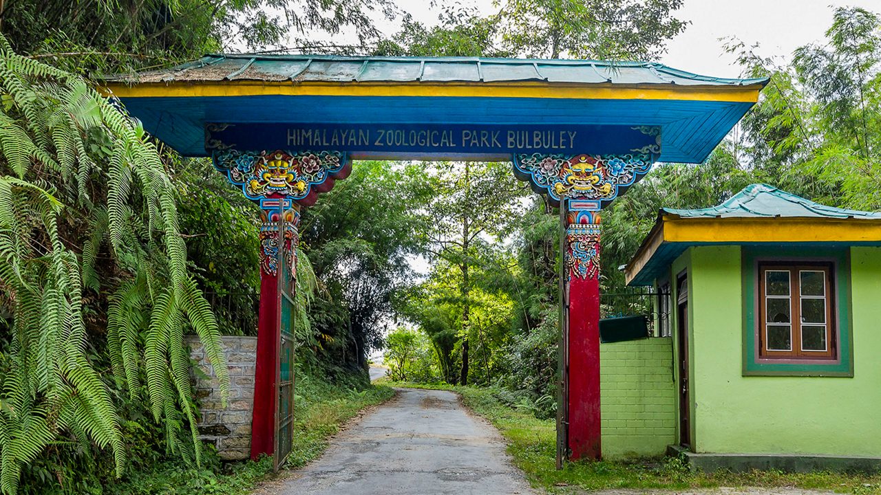 himalayan-zoological-park-gangtok-sikkim-1-attr-hero