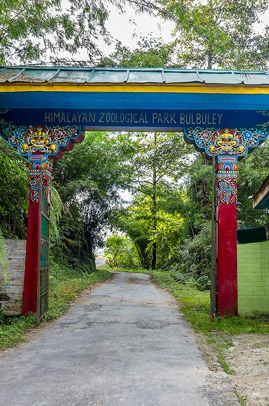 himalayan-zoological-park-gangtok-sikkim-1-attr-nearby