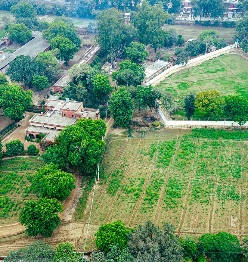 Areal scenic view of Hisar from Jindal Tower which is located in Hisar, Haryana. 