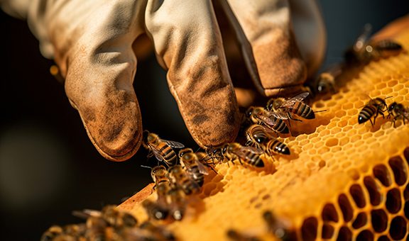 Beekeeper in protective suit working on bee hive with honey bees. Generative AI