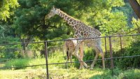 indira-gandhi-zoological-gardens-vishakapatnam-1-attr-hero