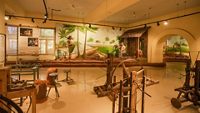 international-coir-museum-alappuzha-kerala-1-attr-hero