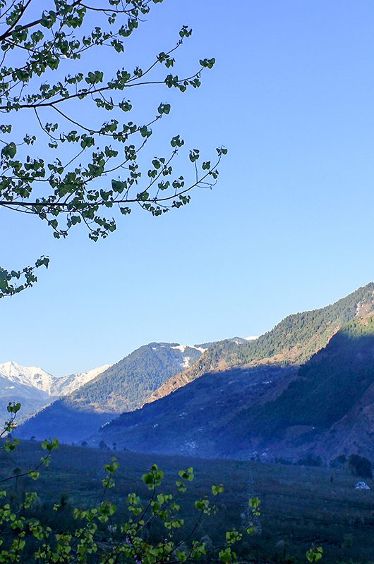 A beautiful view of the Dhauladhar Mountains near Manali in Himachal Pradesh, India