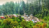 Jageshwar Temple and giant deodars at the background in Almora. It is one of the most popular Hindu temples in Uttarakhand