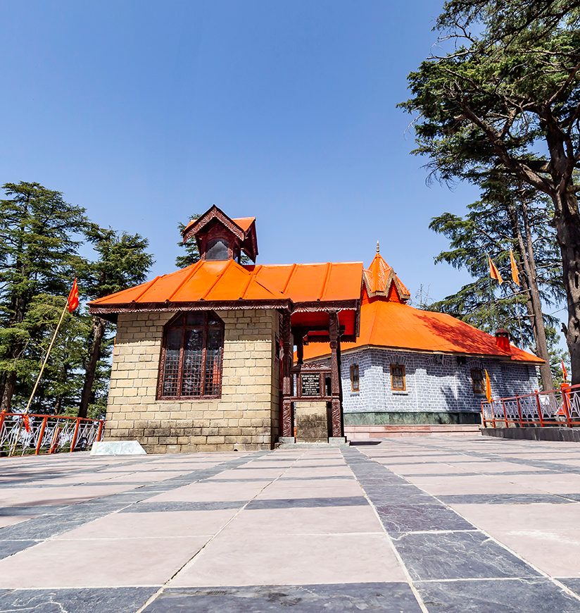 jakhu-temple-shimla-himachal pradesh-state-body