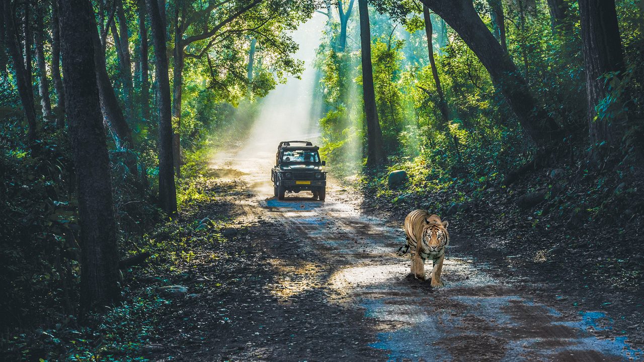 jim-corbett-national-park-nainital-uttarakhand-1-attr-hero