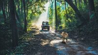 jim-corbett-national-park-nainital-uttarakhand-1-attr-hero