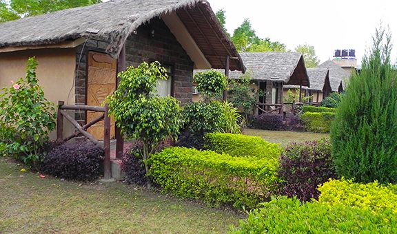 Cottages in JIm Corbett National Park (Rajaji National Park)