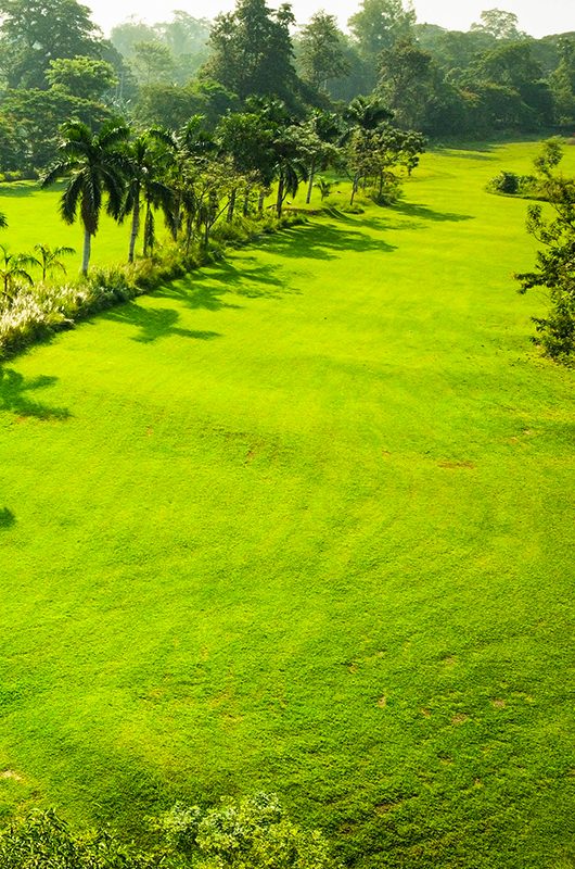 jorhat-gymkhana-club-jorhat-assam-1-attr-nearby