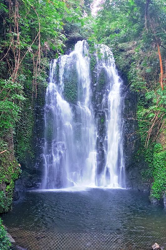 kakochang-waterfall-jorhat-assam-1-attr-nearby