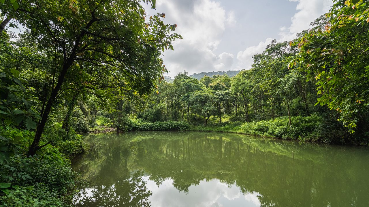 karnala-bird-sanctuary-mumbai-maharashtra-1-attr-hero