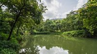 karnala-bird-sanctuary-mumbai-maharashtra-1-attr-hero