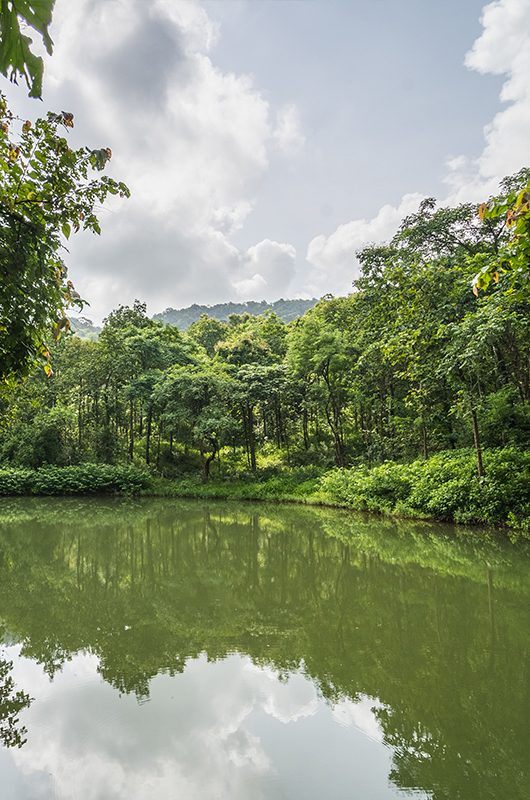 karnala-bird-sanctuary-mumbai-maharashtra-1-attr-nearby