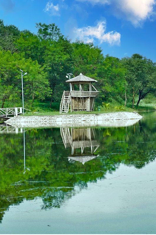 kathlour-kushlian-wildlife-sanctuary-pathankot-punjab-1-attr-nearby