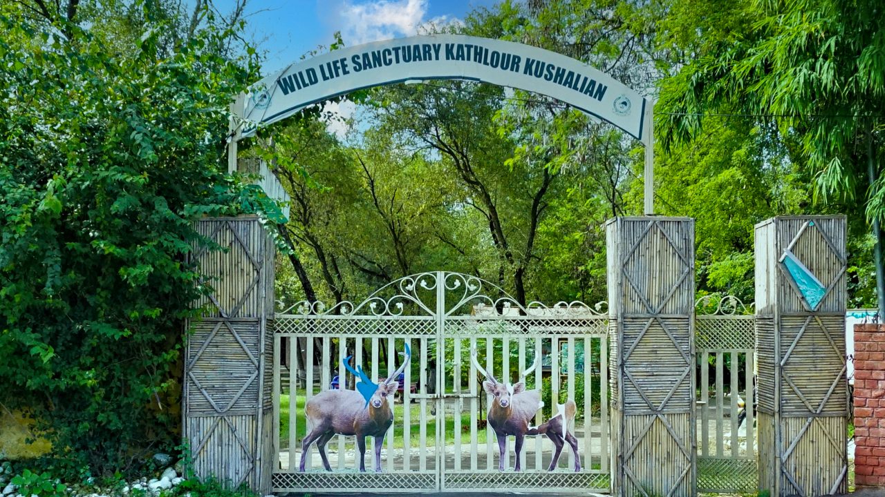 kathlour-kushlian-wildlife-sanctuary-pathankot-pu