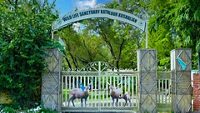 kathlour-kushlian-wildlife-sanctuary-pathankot-pu