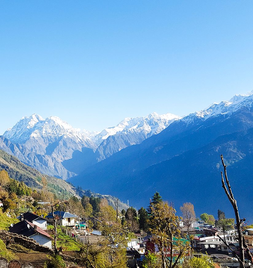 beautiful view of mountain and greenery at Kausani Uttaranchal India