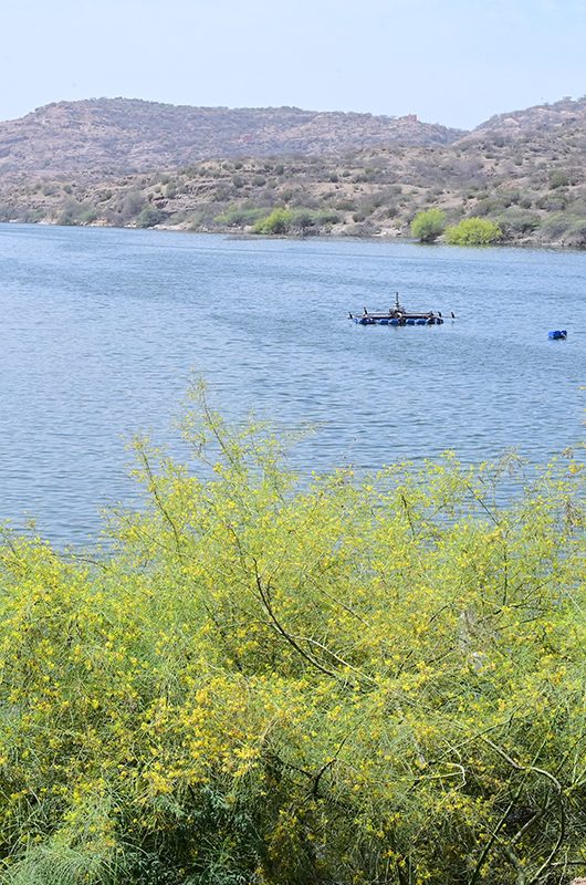 kaylana-lake-jodhpur-rajasthan-1-attr-nearby