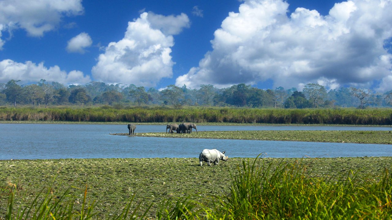 kaziranga-national-park-assam-state-hero2.jpg