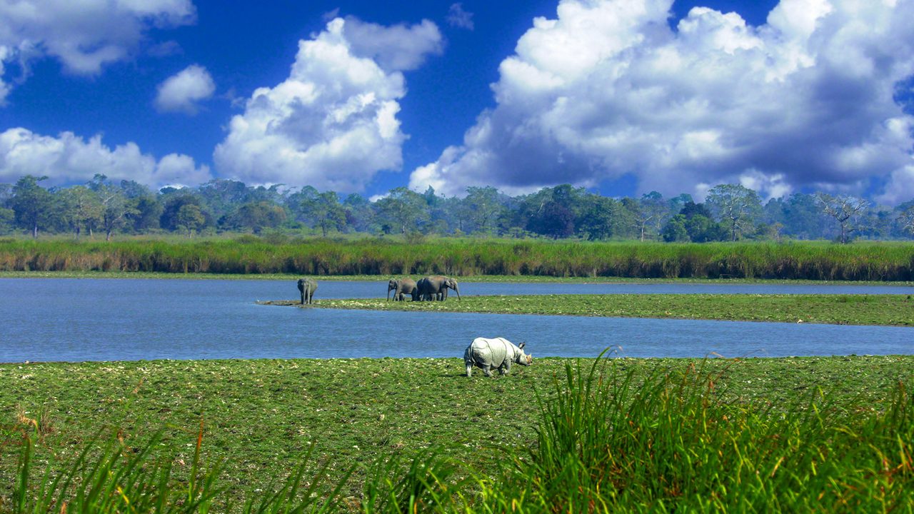 kaziranga-national-park-tezpur-assam-2-attr-hero