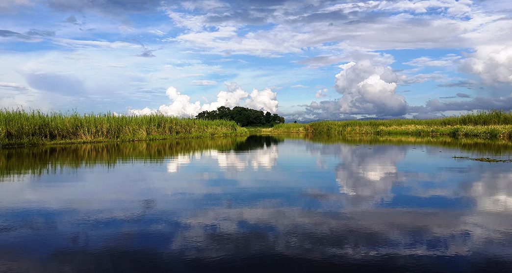 Keibul-Lamjao-National-Park