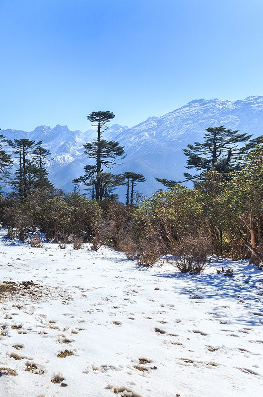 Phedang view point at Kanchenjunga National Park, Sikkim, India.