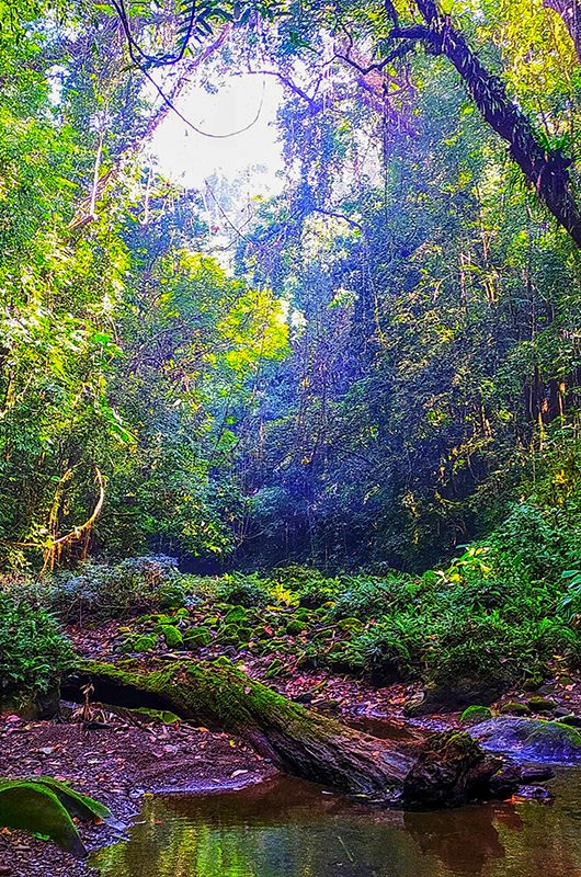 khawnglung-wildlife-sanctuary