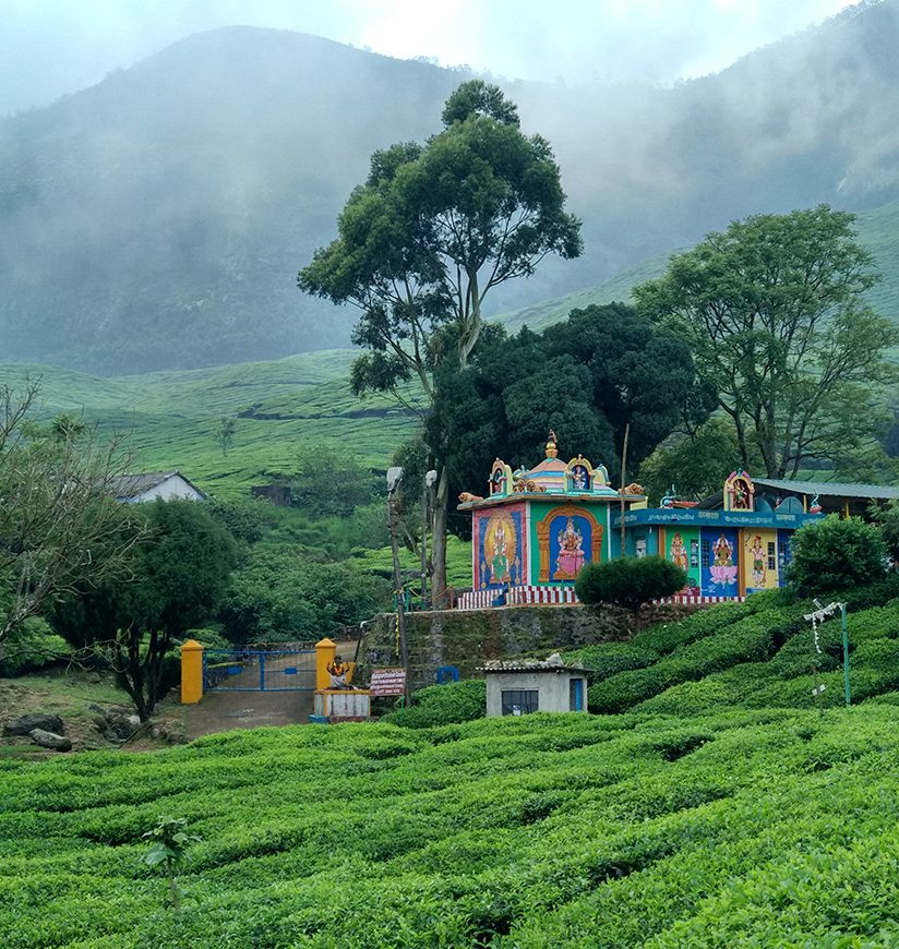 The temple which adds some colour to the scene- kolukkumalai tea estate, suryanelli, Tamil Nadu