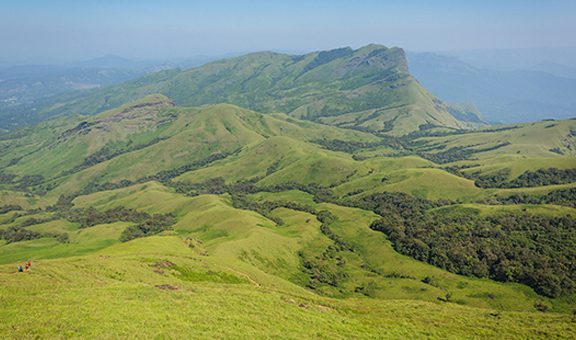 Trekking / Hiking at Kudremukh or Kudremukha national park in Chikmagalur, Karnataka, India. Nature walk amidst green landscape in monsoon season. Beautiful greenery in Forest/ jungle. Tiger reserve